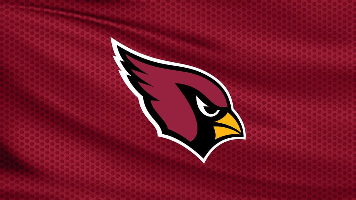 Arizona Cardinals v Washington Commanders