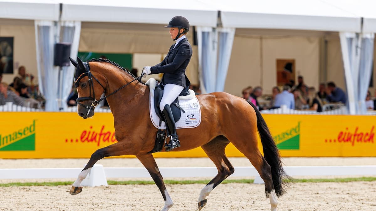 Dressage World Breeding Championship for Young Horses 2026, SUN 09.08.
