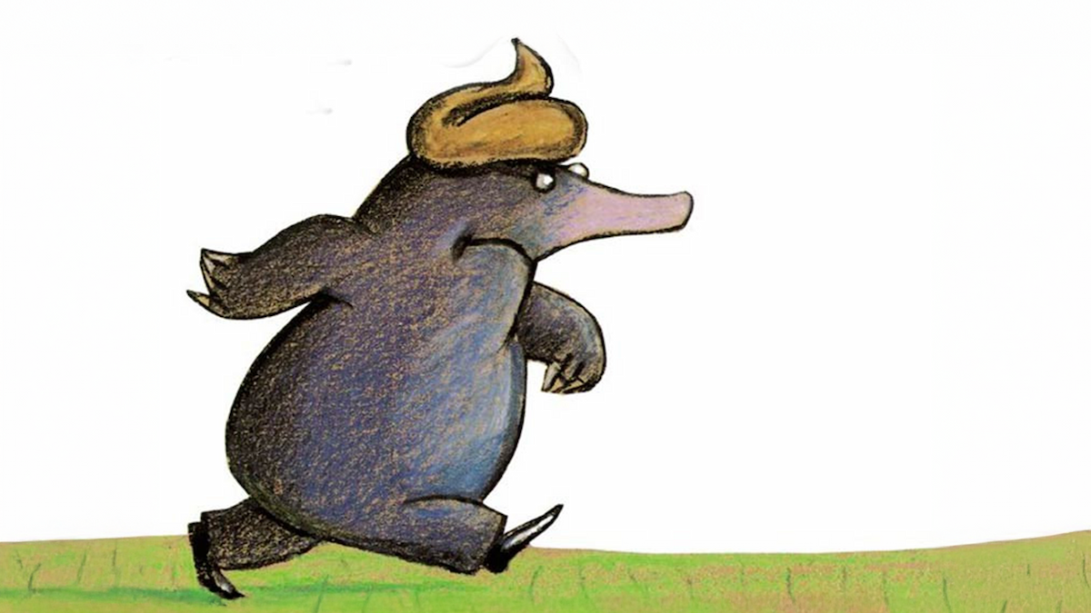 Meneer Monster: Over een kleine mol