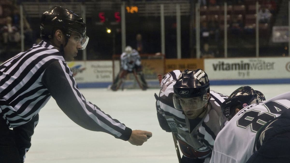 Kalamazoo Wings vs. Toledo Walleye