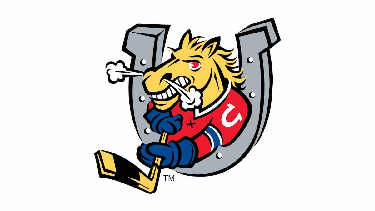 Barrie Colts vs. Brampton Steelheads