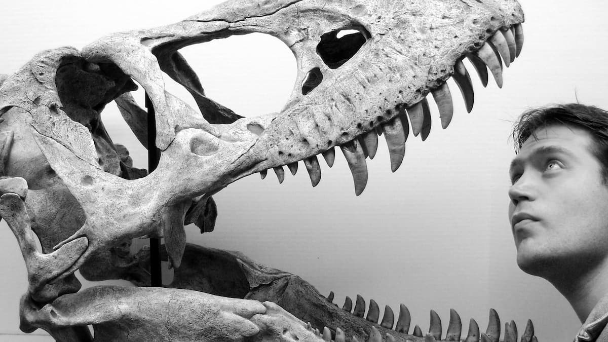 Battling Bloodsuckers - National Geographic Live