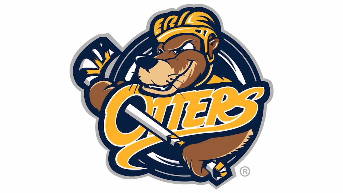 Erie Otters vs. Brantford Bulldogs