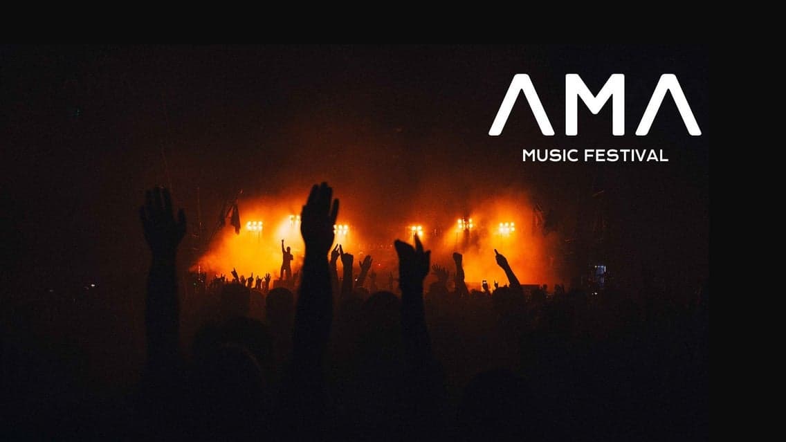 AMA FESTIVAL | Alan Walker + tba