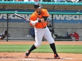 Long Island Ducks