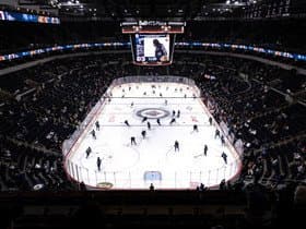 Winnipeg Jets