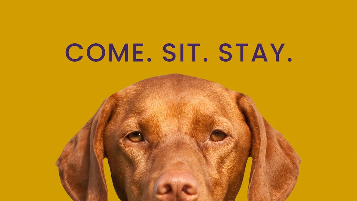 Westminster Kennel Club Dog Show