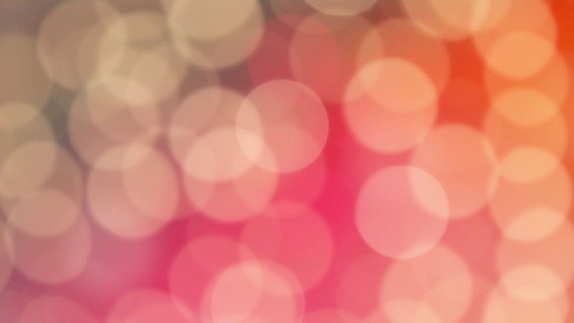 2026 Talladega Fall Weekend Racing Electronics