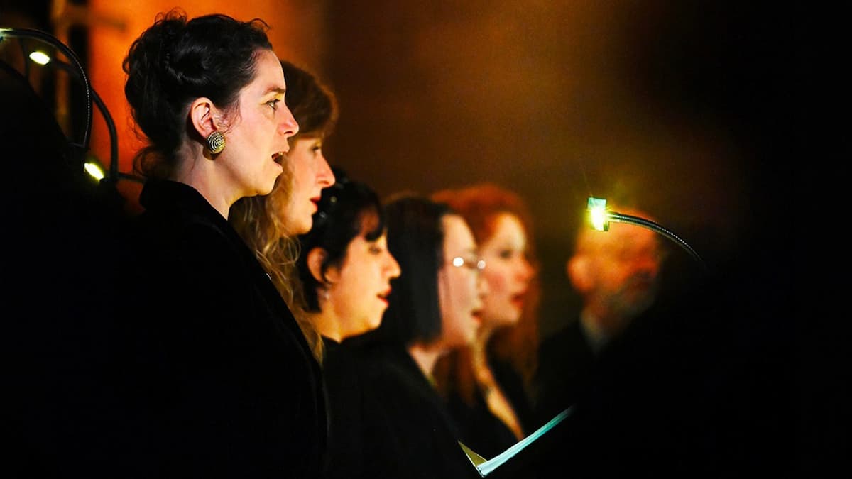 "Les Métaboles, Voces esculpidas"