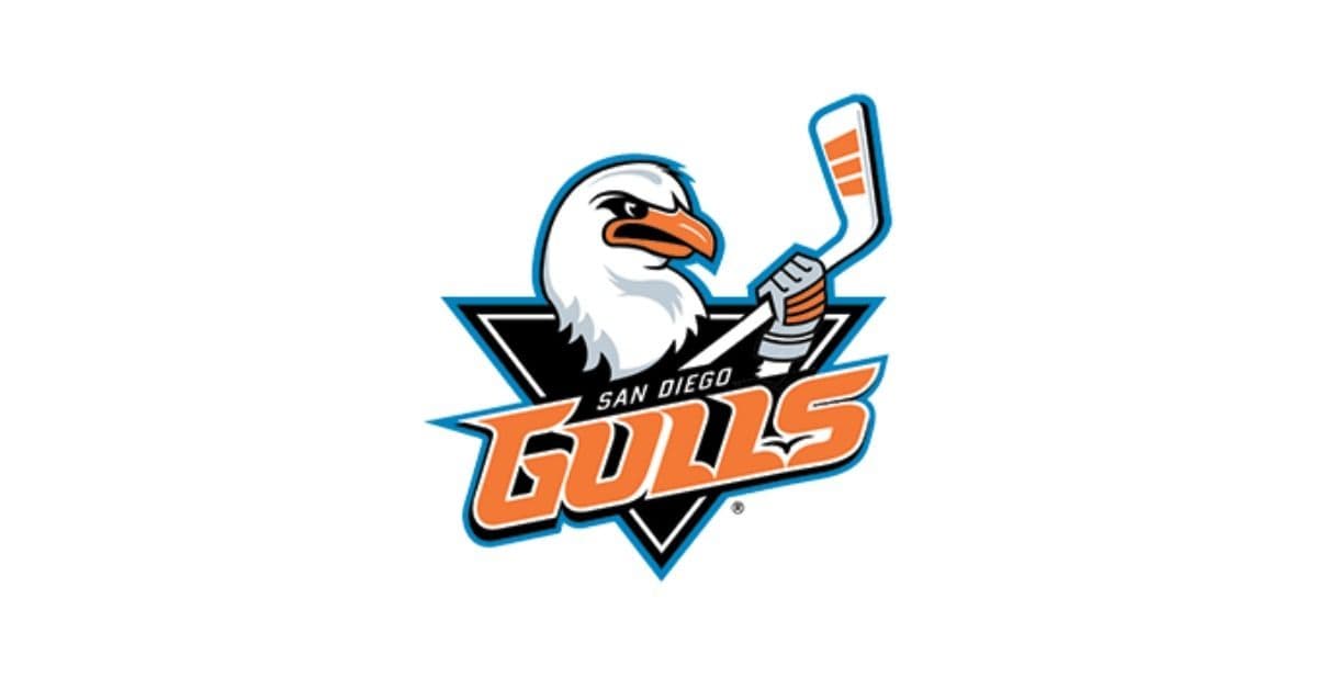 San Diego Gulls at Iowa Wild