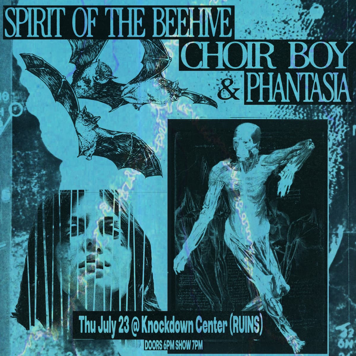 SPIRIT OF THE BEEHIVE / Choir Boy / Phantasia