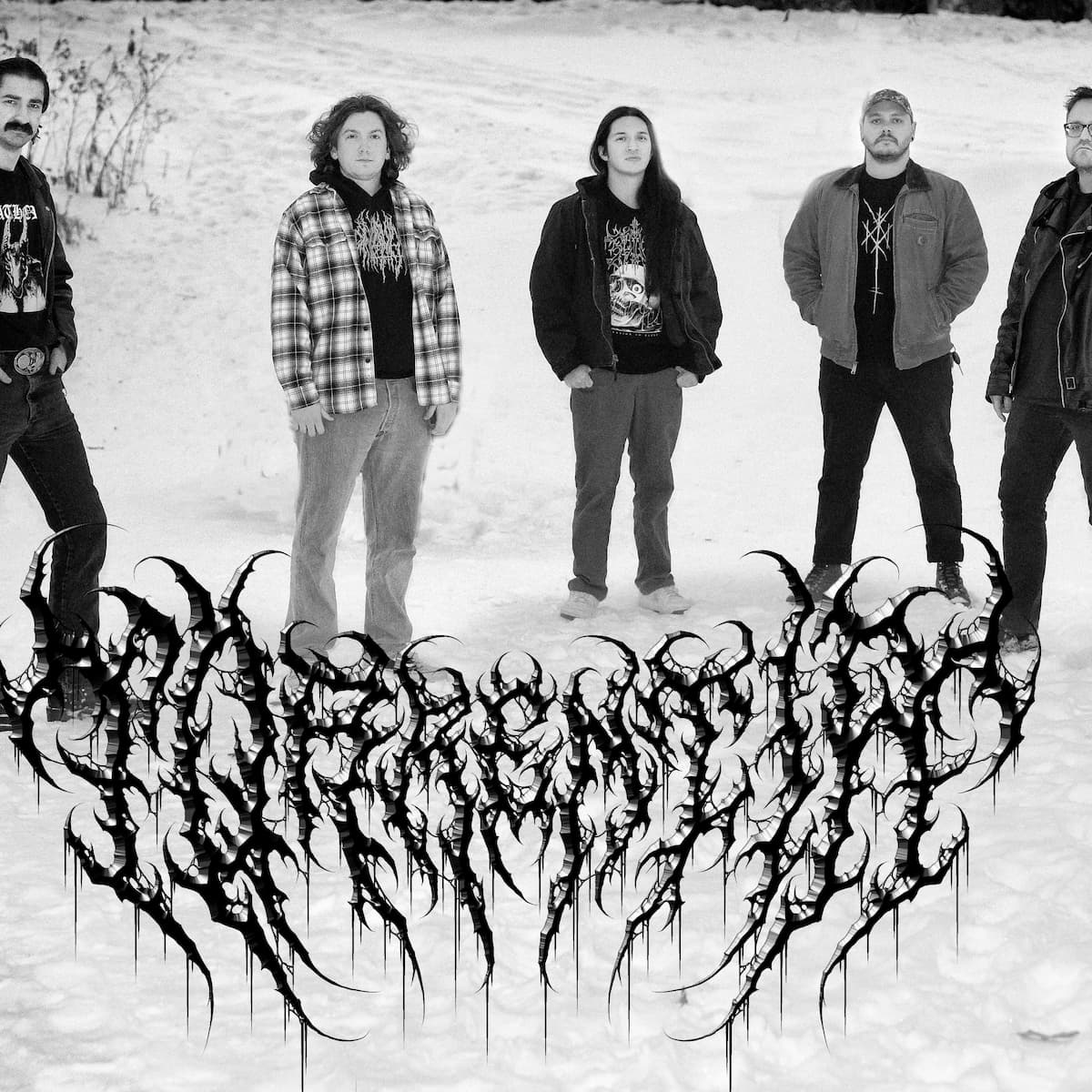 Torrentia, Social Pariah, Sweetland, & Divinum Insanus