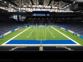 Detroit Lions