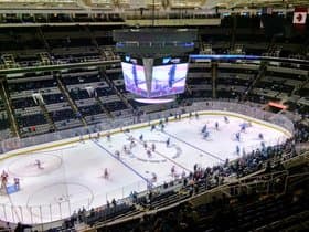 San Jose Sharks