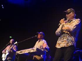 The Beach Boys