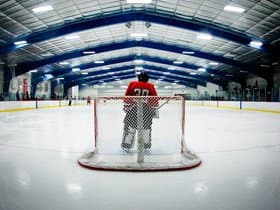 San Jose Barracuda