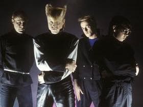 A Flock of Seagulls