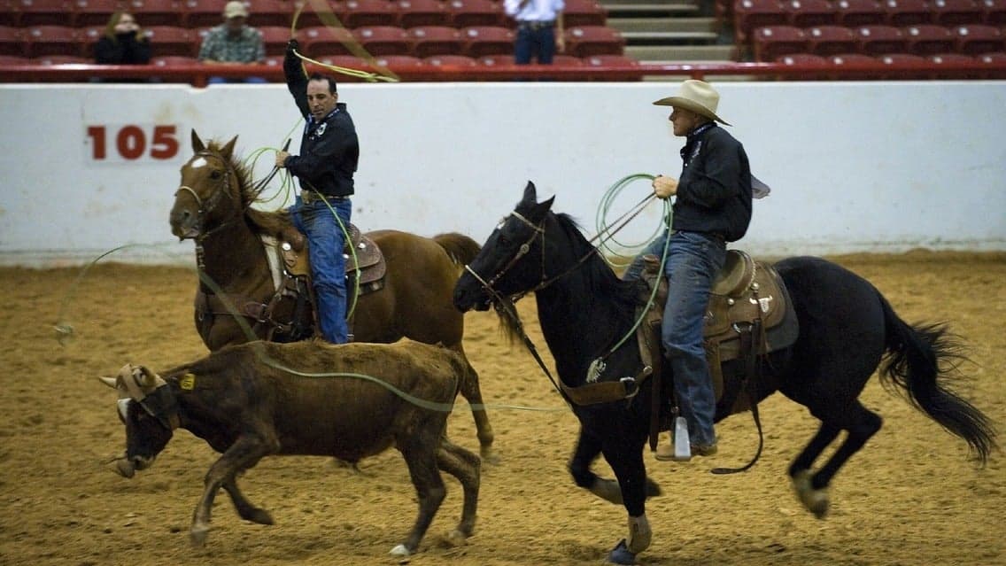 Adirondack Stampede Charity Rodeo