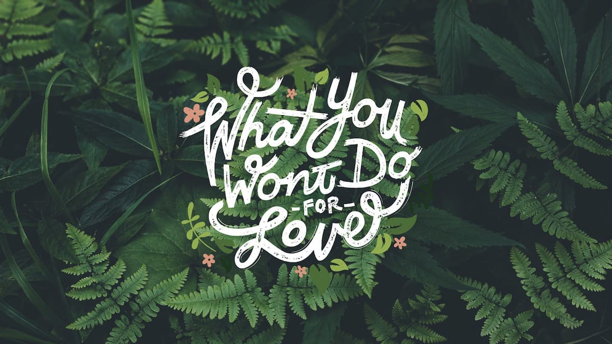 What You Won't Do for Love